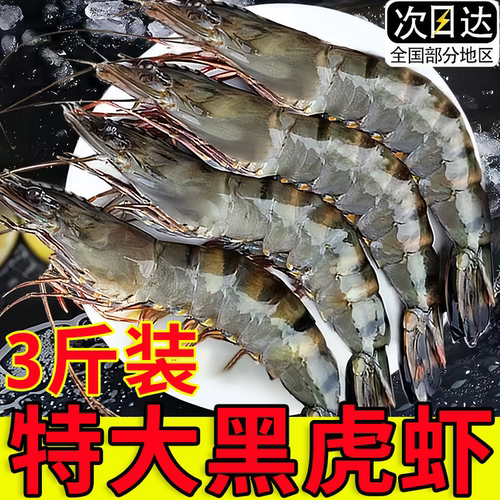 黑虎虾特大活冻老虎虾斑节虾批发