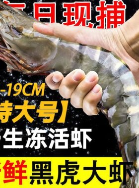 越南进口黑虎虾特大生冻速冻