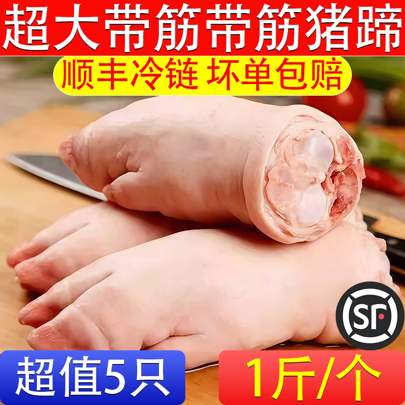 大号整只带筋猪蹄冷冻顺丰