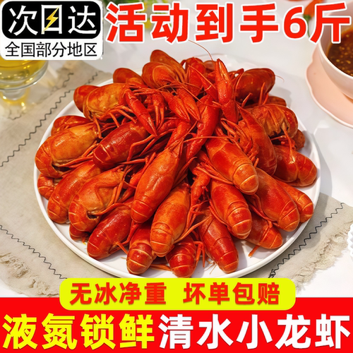 液氮锁鲜无冰小龙虾8斤装顺丰