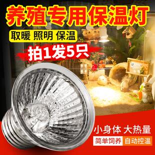 小鸡育雏保温灯芦丁鸡加热灯养殖场专用小太阳取暖灯泡加温保暖灯