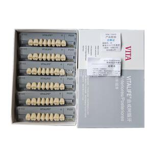 牙科材料 维他合成树脂牙VITA 3D树脂牙舌侧集中颌吸附性全口义齿