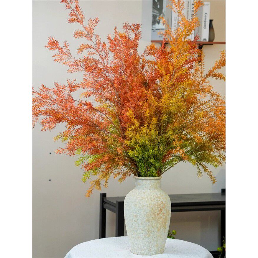 A级千层金鲜花云南基地直