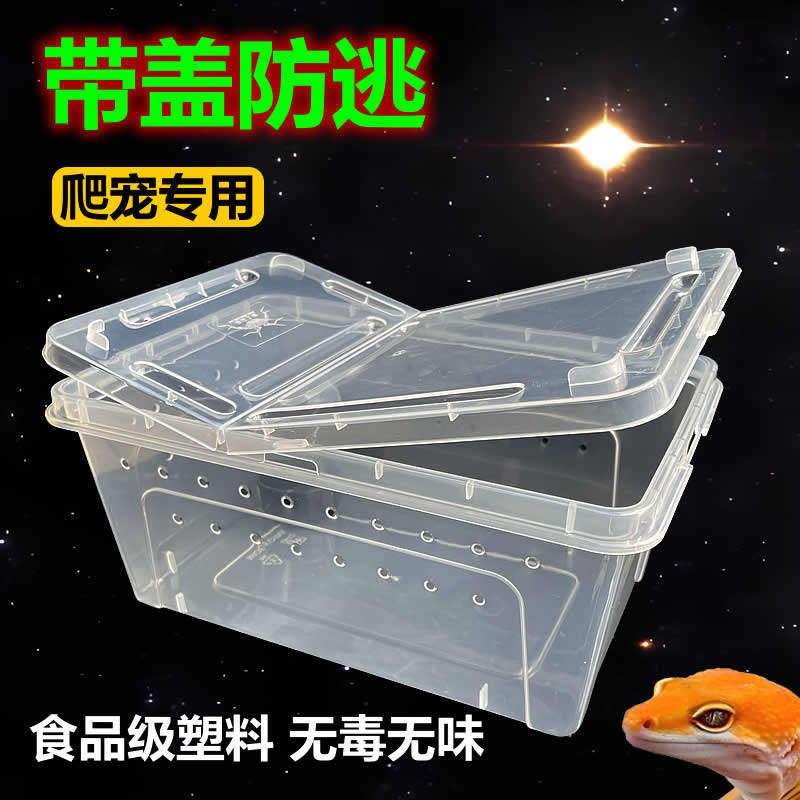 爬宠饲养盒乌龟寄居蟹水陆两栖角蛙盒守宫饲养箱塑料中号人渣盒子