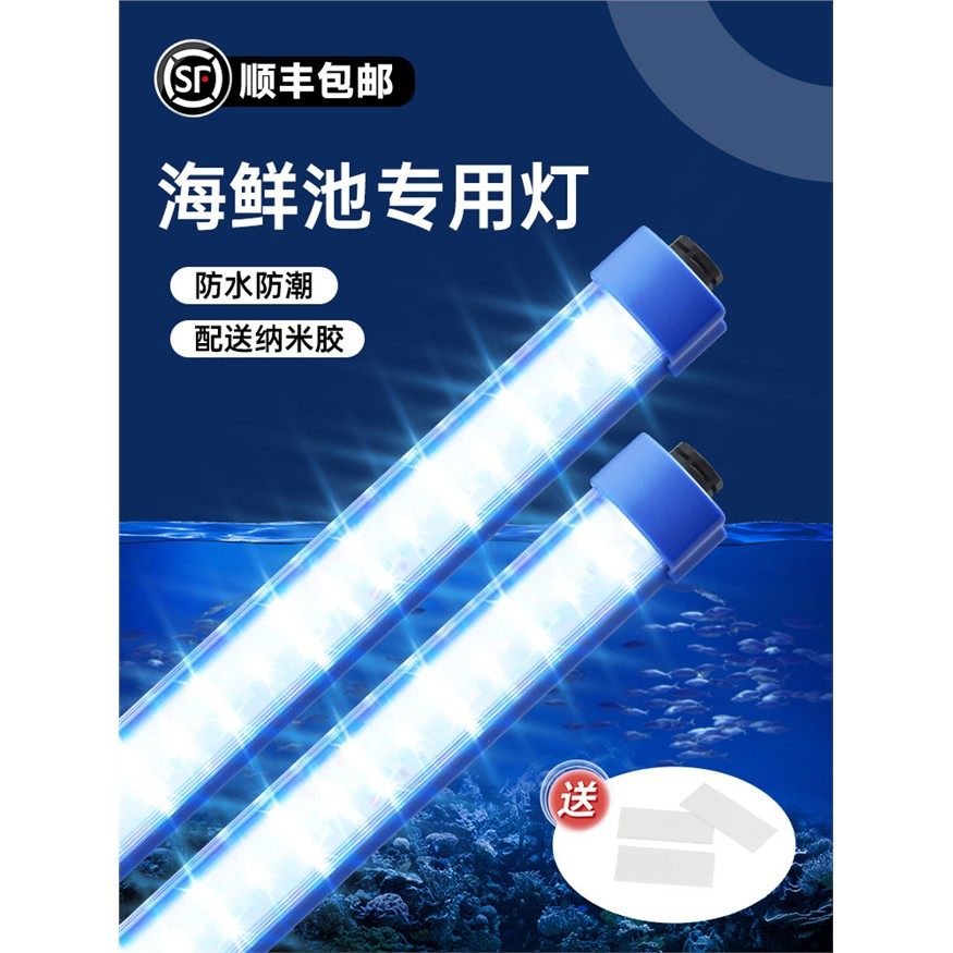 海鲜池专用灯鱼缸鱼池水产蓝色照明直插式免安装led防水长条灯管,宠物/宠物食品及用品,照明器材,淘宝优惠券,粉丝福利购,淘宝优惠卷