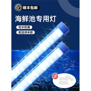 海鲜池专用灯鱼缸鱼池水产蓝色照明直插式免安装led防水长条灯管