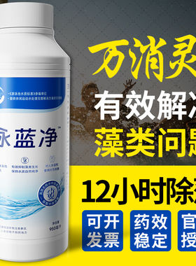 【万消灵除藻剂】泳池强