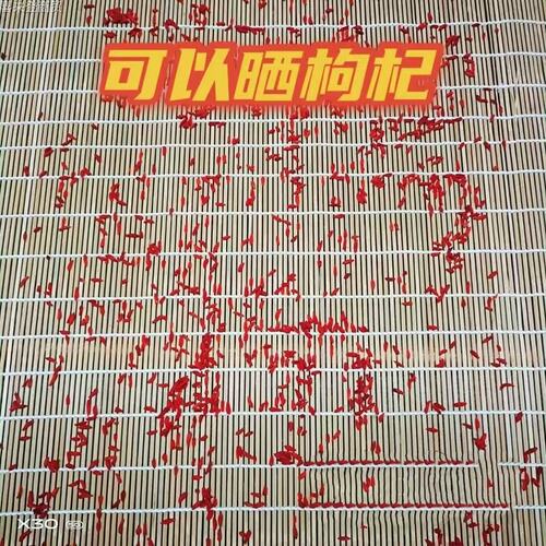 老式卷折叠式竹帘整片晾