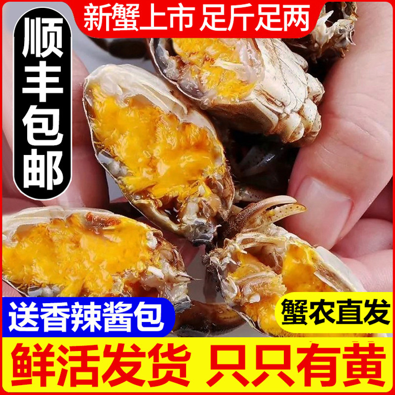 【上市热销】壳薄肉嫩只只有黄