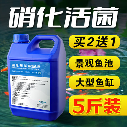 硝化细菌鱼缸用消化细菌液活菌锦鲤鱼池净化水质清澈W剂养鱼净水