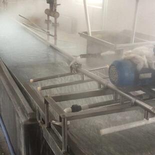 大型粉条加工设备价格