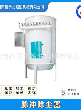 大型无尘设备脉冲布袋除尘器工业机器滤筒粉尘收集器生产线