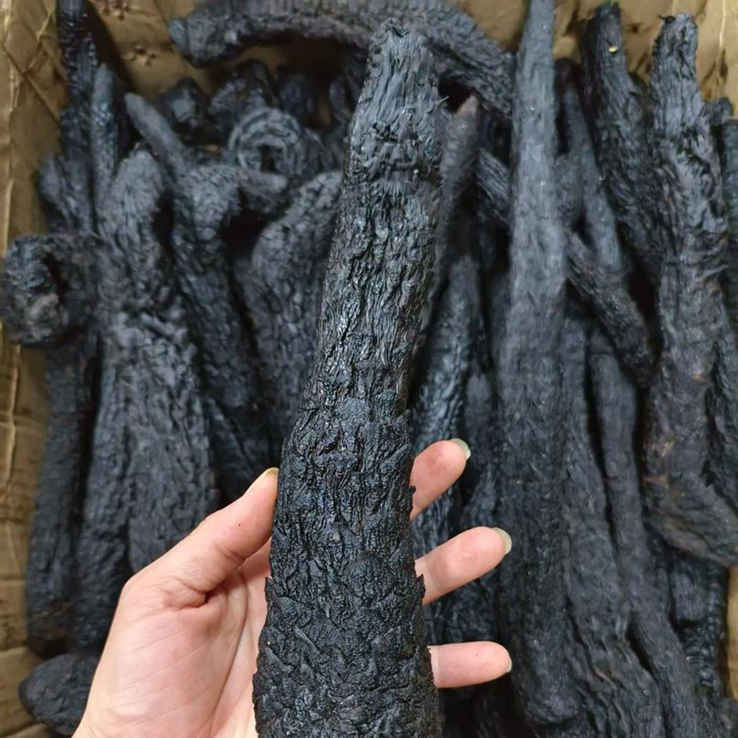 制肉苁蓉中药材正品官方旗舰店野生内蒙古阿拉善整根特级男泡水喝