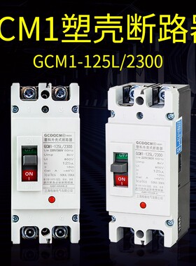 塑壳断路器 空气开关 CM1-125L/2300 63A 100A 125A单相220V 2P