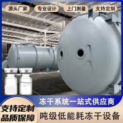 大型吨级冻干机真空冷冻干燥机器适用于加工大批次食品冻干设备