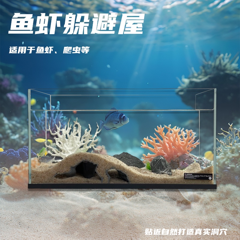 小鱼小虾最爱待这里！水底洞穴