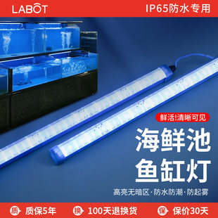 鱼缸专用海鲜池LED灯管防水饭店鱼池蓝白光水产养鱼长条照明灯条