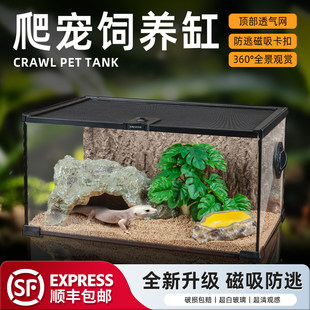 BG爬宠饲养箱玻璃爬缸蜥蜴守宫蛇甲虫陆龟爬宠爬虫盒角蛙饲养箱