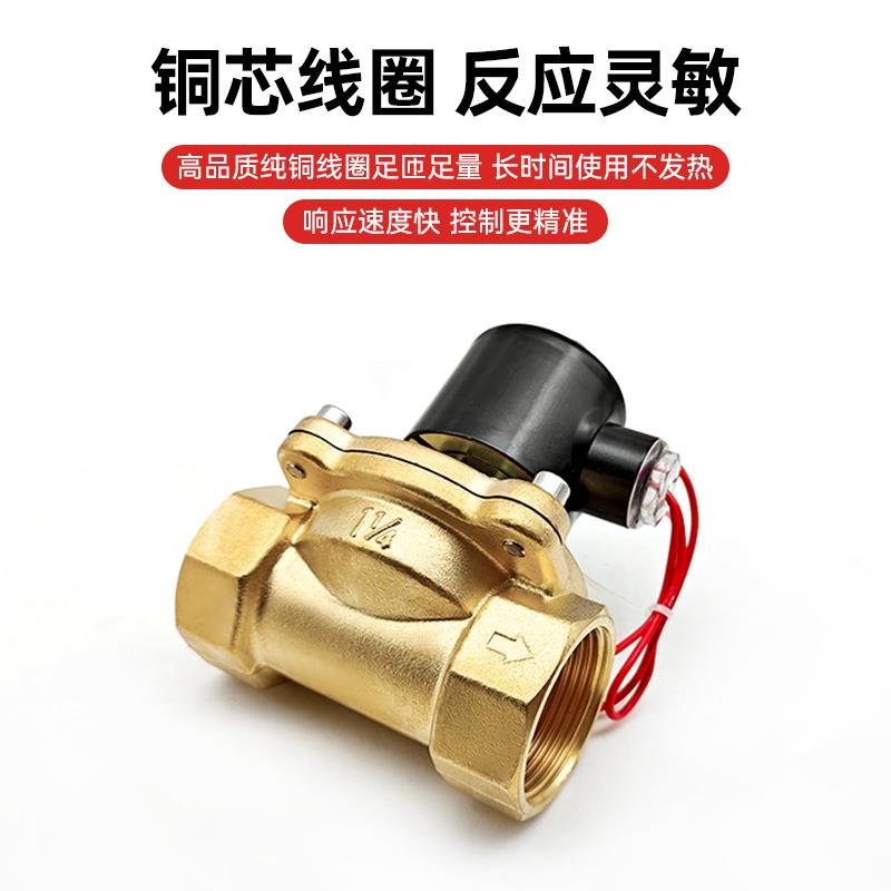 常闭型电磁阀水阀气阀控制阀2W160-15黄铜AC220V节能防水DN25/20