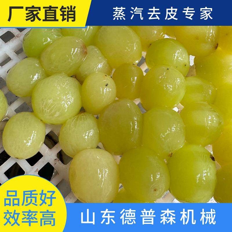 商用葡萄柿子清洗脱皮机洋葱胡萝卜去皮设备,清洗/食品/商业设备,休闲食品加工设备,淘宝优惠券,粉丝福利购,淘宝优惠卷