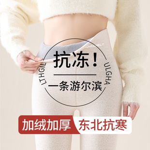 东北特厚保暖裤 加绒加厚高腰打底裤 女外穿秋冬季 600克雾驼绒棉裤