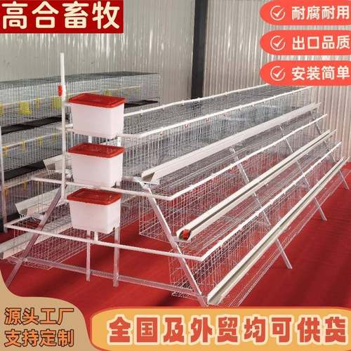 蛋鸡笼鸡笼镀锌三层四层阶梯蛋鸡笼养殖自动化工厂直供可供外贸
