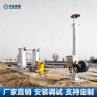 中正环境定制垃圾掩埋啤酒厂养殖场污水处理厂化工厂用沼气火炬