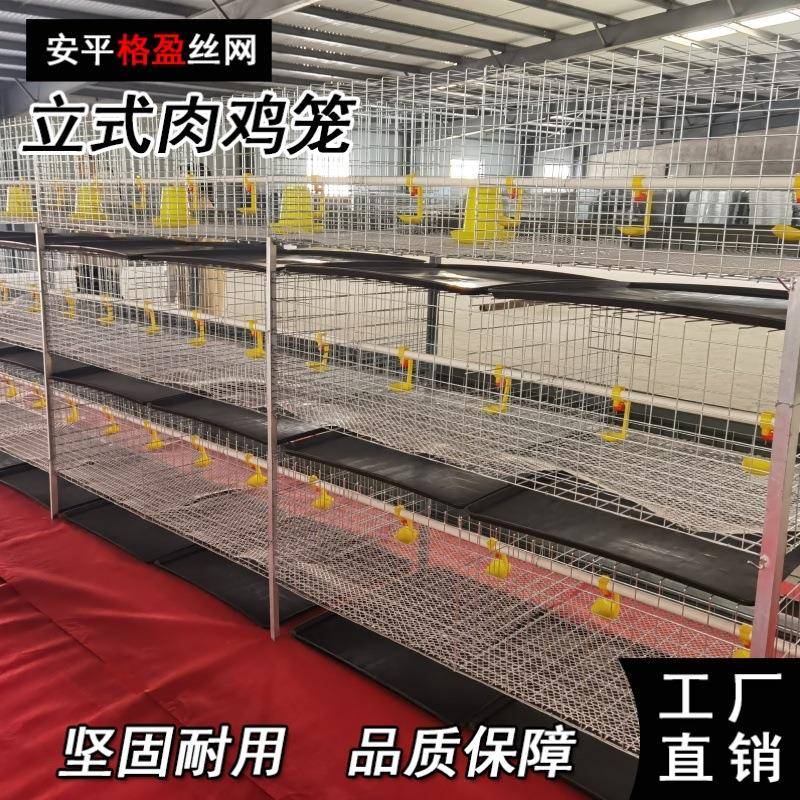 全自动肉鸡笼蛋鸡笼厂家生产鸡笼全自动养鸡设备