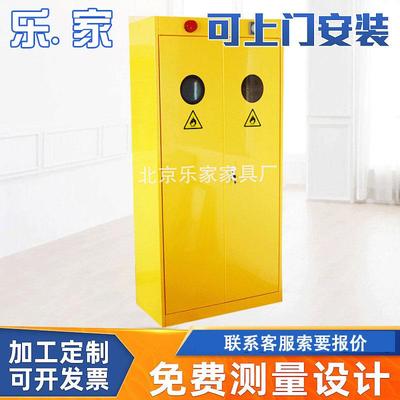 防爆实验室气瓶柜全钢单瓶/双瓶/三瓶气瓶柜安全防火气瓶柜