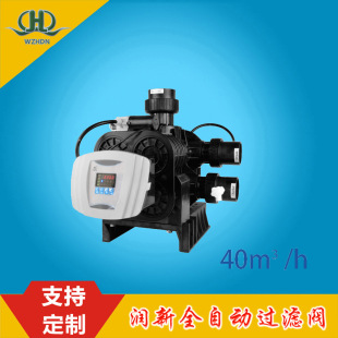 F112B3反冲洗40吨全自动过滤阀53540B 润新阀F112B1 53640B