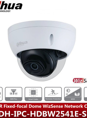 Dahua海外版 5MP Dome WizSense Network Camera IPC-HDBW2541E-S