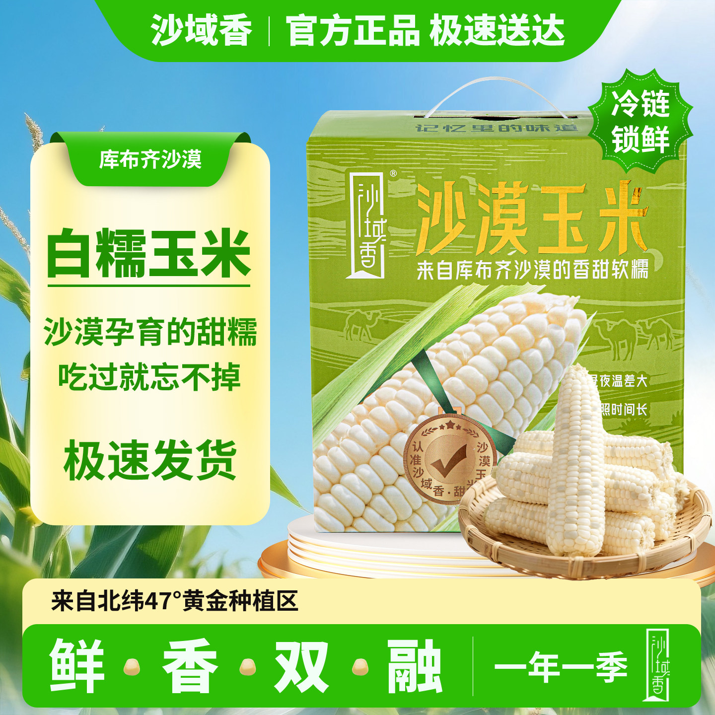 【精品礼盒】沙域香头茬甜糯玉米棒健身代餐玉米沙漠玉米冷鲜玉米