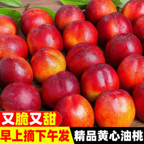 甄选黄肉油桃新鲜水果桃子油桃5斤当季水果油桃新鲜现摘整箱包邮
