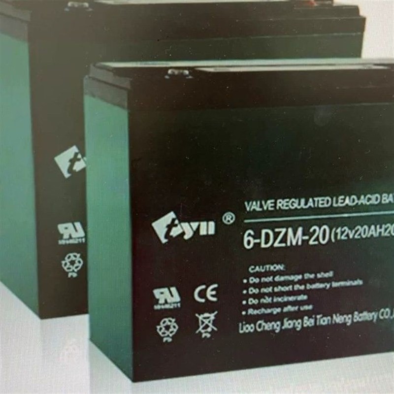 TYN 6-DZM-20 6-DZF-20(24)电池