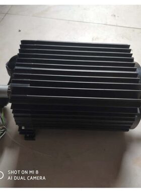 法兰泰克起重葫芦电机 管片吊机2245031 老款VL16/VL20