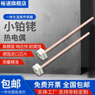 S型小铂铑热电偶耐高温热电偶WRP-100型马弗炉实验炉专用B型WRR