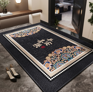 入户门地垫进门高级感脚垫门口垫子新款 家用玄关高端耐脏防滑地毯