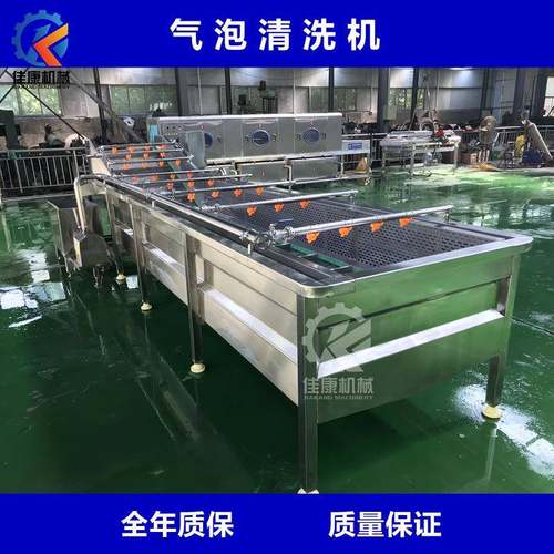 商用高压喷淋式气泡清洗机多功能果蔬清洗机枸杞连续式清洗机