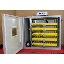 微型家用孵化机小型家用孵化器全自动智能鸡鸭鹅鸽孵蛋机孵蛋器,畜牧/养殖物资,特种养殖设备,淘宝优惠券,粉丝福利购,淘宝优惠卷