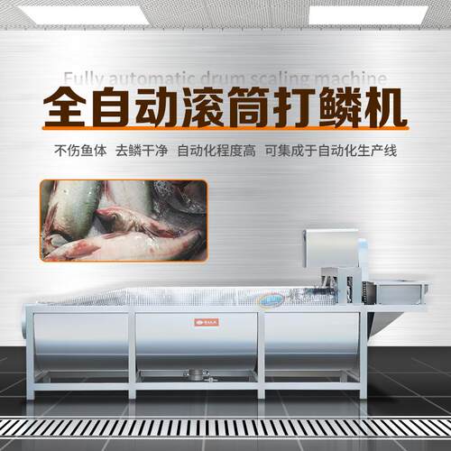 全自动滚筒打鳞机不伤鱼体去鳞干净自动化程度高可集成于自动化生