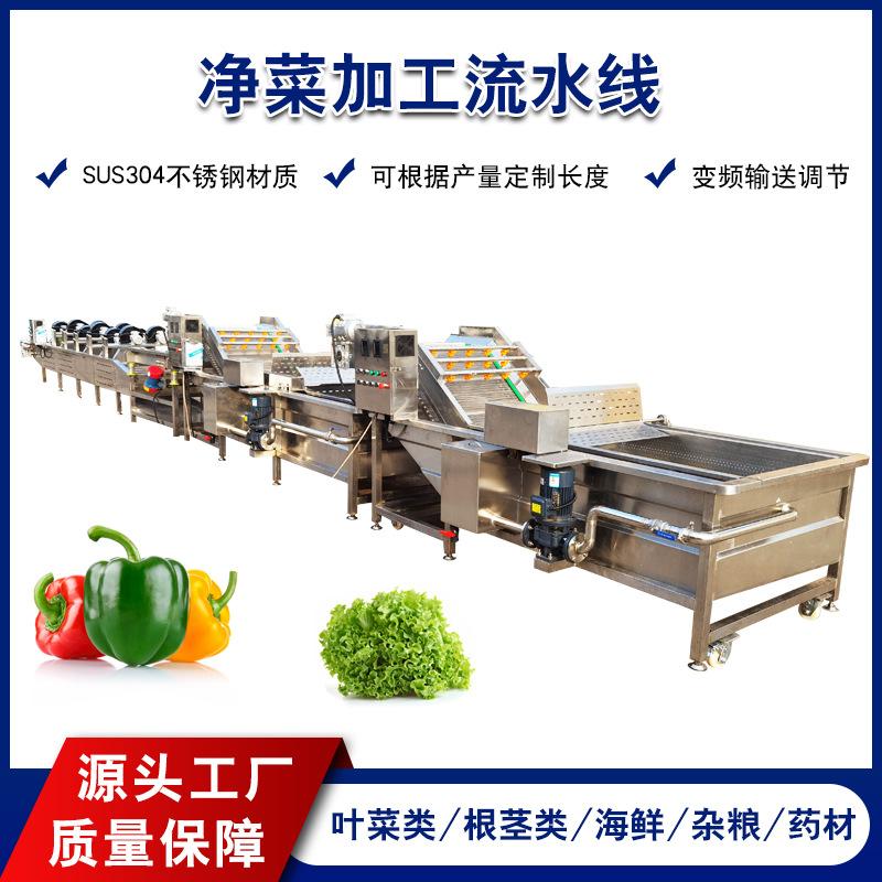 全自动秋葵气泡清洗机 新疆鲜枣清洗机 上海水果清洗风干加工设备