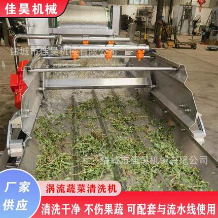 果蔬加工流水线设备连续式水涡流清洗机全自动香菇清洗机设备