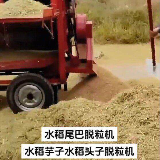 水稻脱粒机 小麦脱粒打麦机 大型125型甘草苦豆子脱粒机脱菜籽机