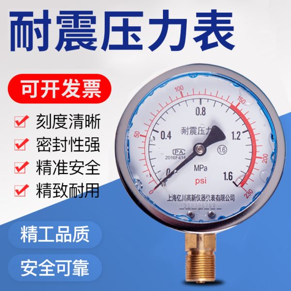 耐振YN100耐震压力表0-0.6/1/1.6/2.5/MPA抗震防震动进油压力表