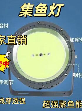 led集鱼灯船用防水LED诱鱼聚鱼集鱼灯青光鱿鱼灯1000W高亮捕鱼灯