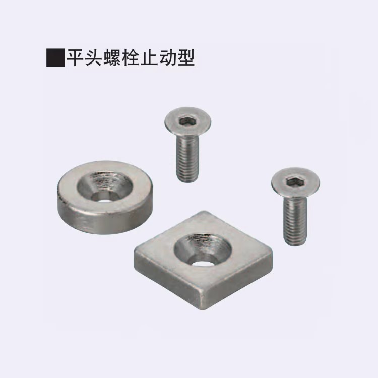 BLS70/71-A8/A10/A12/A15/A20/A25-T2/T3/T4/T4.5/T5/T5.5/T6磁铁