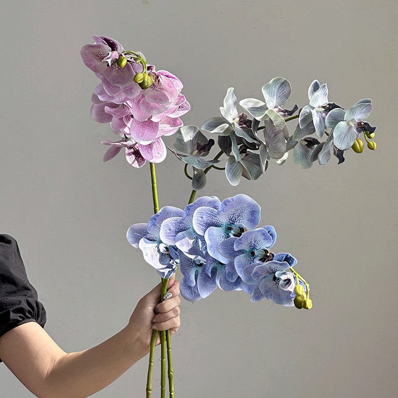 蝴蝶兰仿真花单支花束家居桌面插花装饰套装高级感法式复古假花