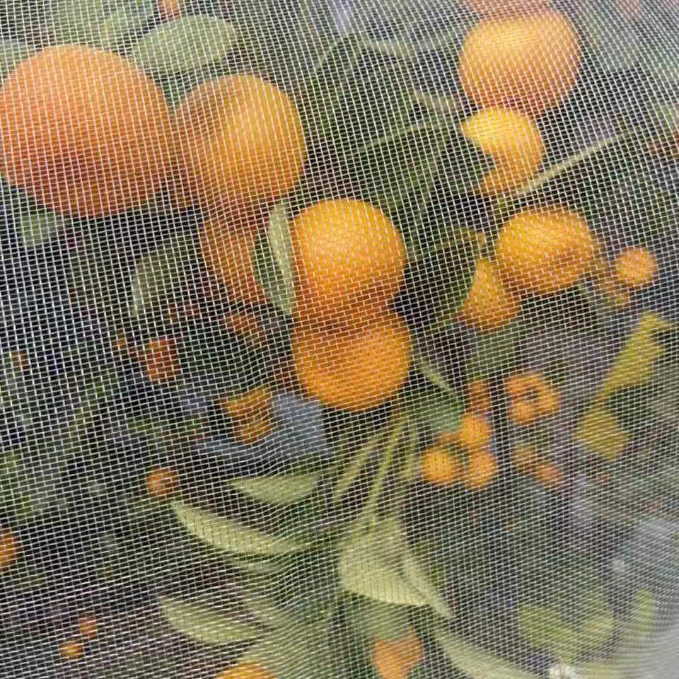 防虫网防柳絮蚊子苍蝇纱窗防尘网大棚蔬菜农用家庭院子网防杨树花