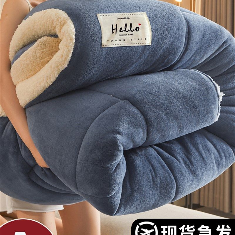 羊羔绒被子2025新款冬季棉被被芯冬天单人宿舍秋冬被加厚保暖10斤,床上用品,化纤被,淘宝优惠券,粉丝福利购,淘宝优惠卷