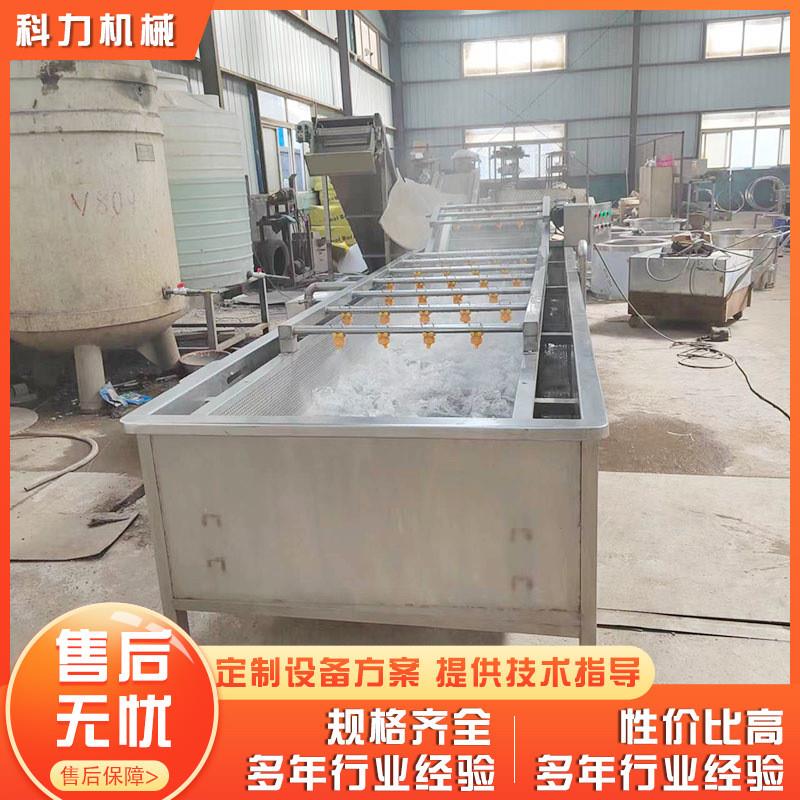 供应气泡清洗机 蓝莓清洗机 水果蔬菜果蔬气泡清洗机设备